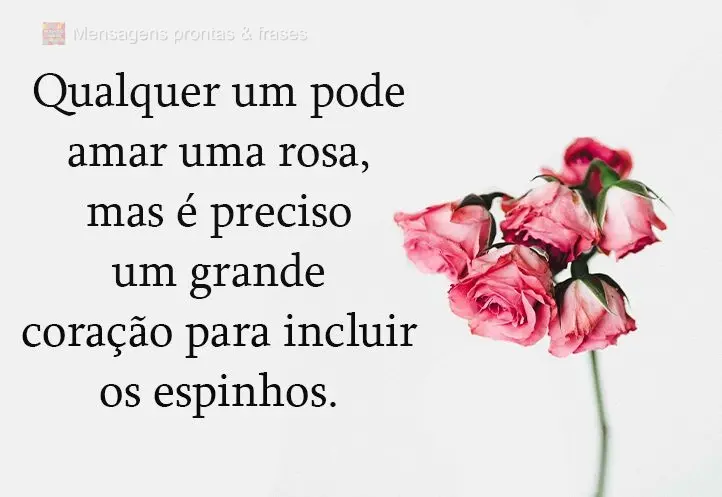 Qualquer um pode amar uma rosa, mas é preciso um grande coração para incluir os espinhos.