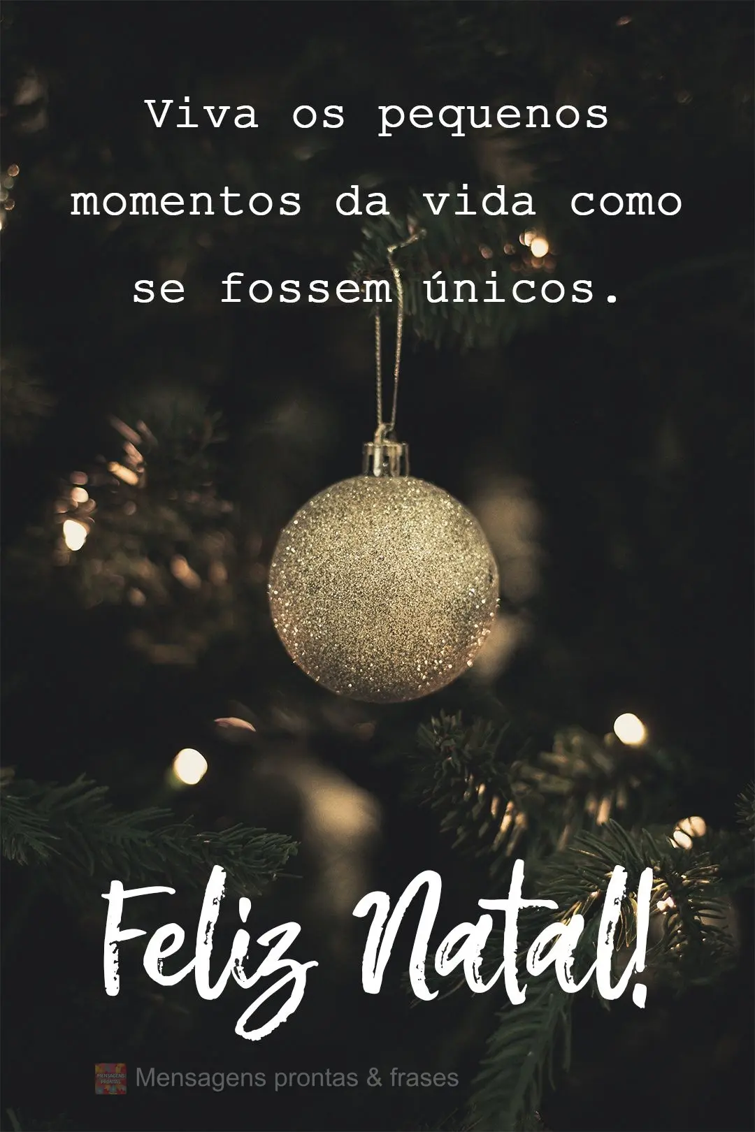 Viva os pequenos momentos da vida como se fossem únicos.  Feliz Natal!