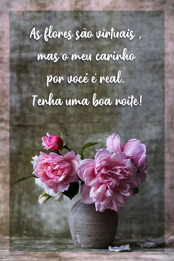 As flores são virtuais , mas o meu carinho por você é real. Tenha uma boa noite!