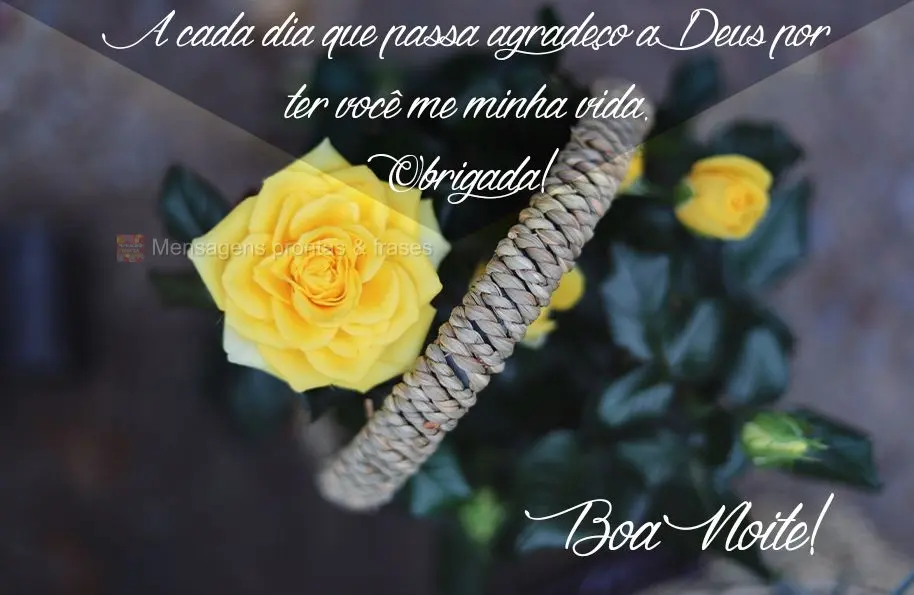 A cada dia que passa agradeço a Deus por ter você em minha vida. Obrigado! Boa Noite!