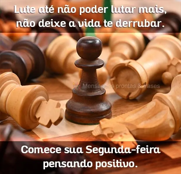 Lute até não poder lutar mais, não deixe a vida te derrubar. Comece sua Segunda- feira pensando positivo.