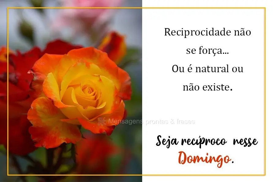 Reciprocidade não se força...Ou é natural ou não existe. Seja recíproco  nesse Domingo.