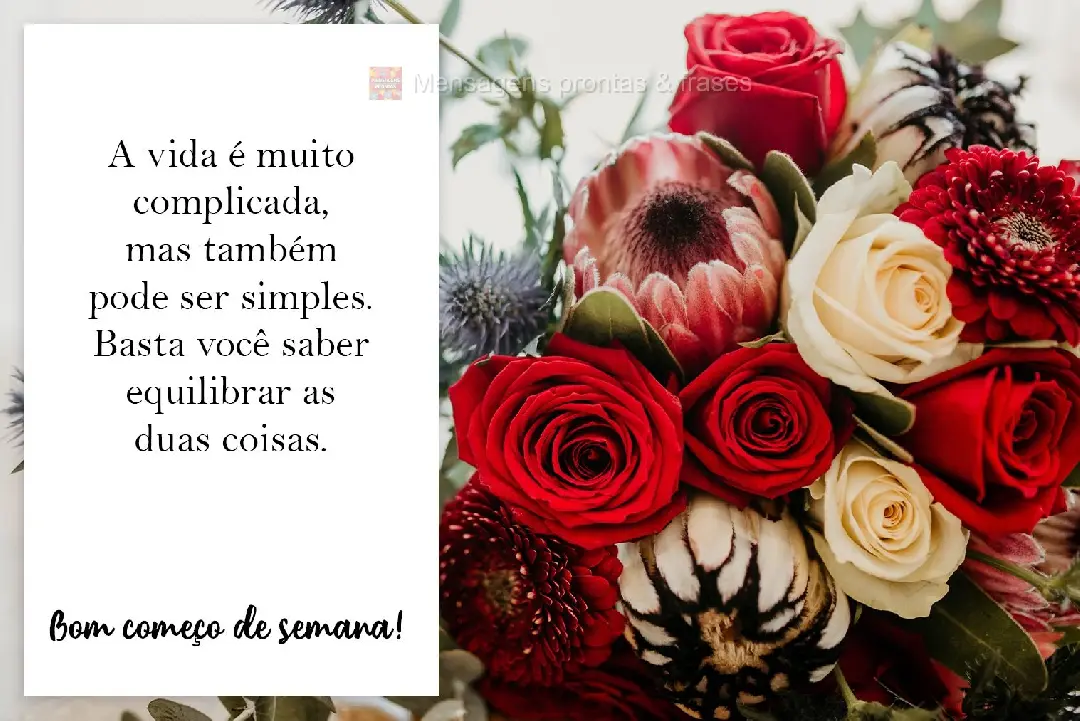 A vida é muito complicada, mas também pode ser simples. Basta você saber equilibrar as duas coisas. Bom começo de semana!