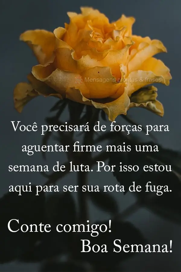 Você precisará de forças para aguentar firme mais uma semana de luta. Por isso estou aqui para ser sua rota de fuga. Conte comigo! Boa Semana!