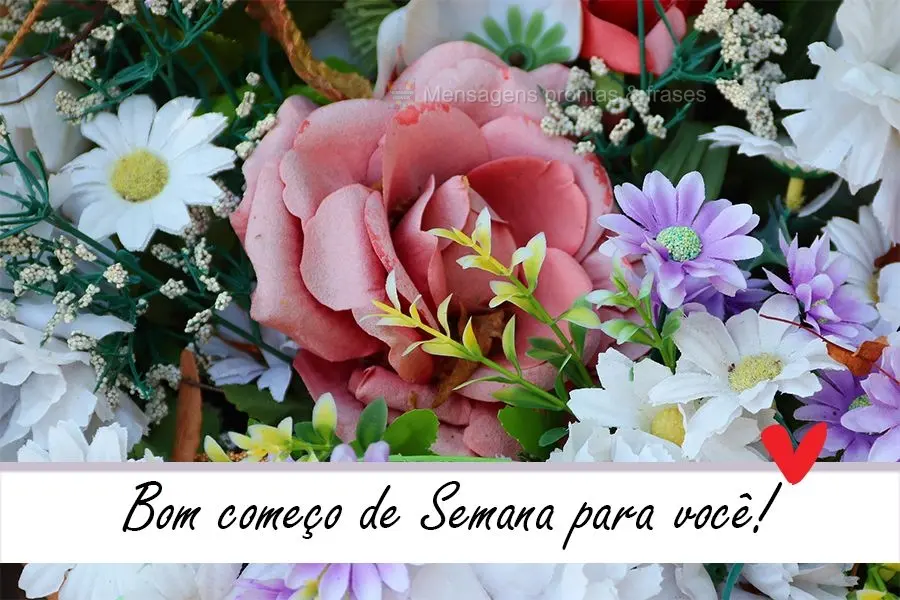 Bom começo de Semana para você!