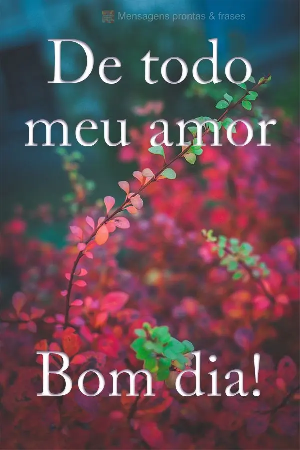 De todo meu amor Bom dia!