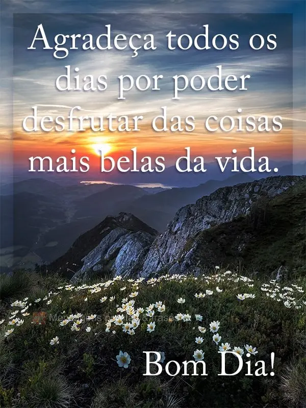 Agradeça todos os dias por poder desfrutar das coisas mais belas da vida.  Bom Dia!