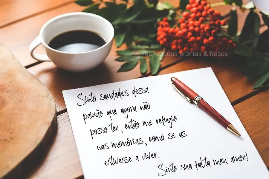 Sinto saudades dessa paixão que agora não posso ter, então me refugio nas memórias, como se as estivesse a viver.  Sinto sua falta meu amor!