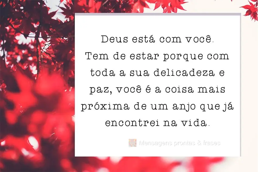 Deus está com você. Tem que estar, porque com toda a sua delicadeza e paz, você é a coisa mais próxima de um anjo que já encontrei na vida.