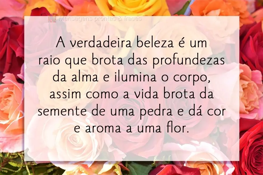 A verdadeira beleza é um raio que brota das profundezas da alma e ilumina o corpo, assim como a vida brota da semente de uma pedra e dá cor e aroma a u...