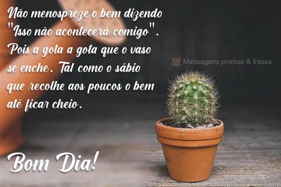 Não menospreze o bem dizendo: "Isso não acontecerá comigo". Pois é gota a gota que o vaso se enche. Tal como o sábio, que recolhe aos poucos o bem, ...