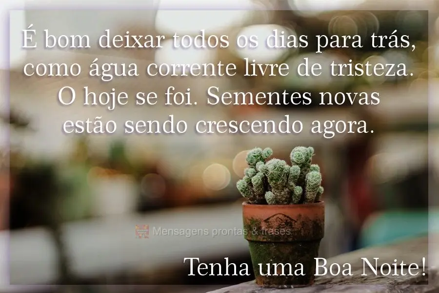 É bom deixar todos os dias para trás, como água corrente livre de tristeza. O hoje se foi. Sementes novas estão crescendo agora. Tenha uma Boa Noite!...