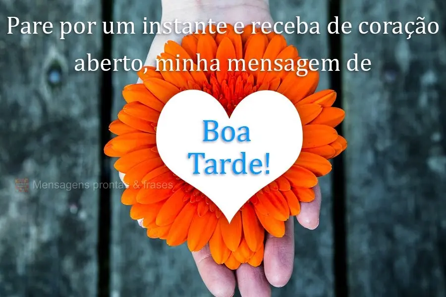 Pare por um instante e receba, de coração aberto, minha mensagem de  Boa Tarde!