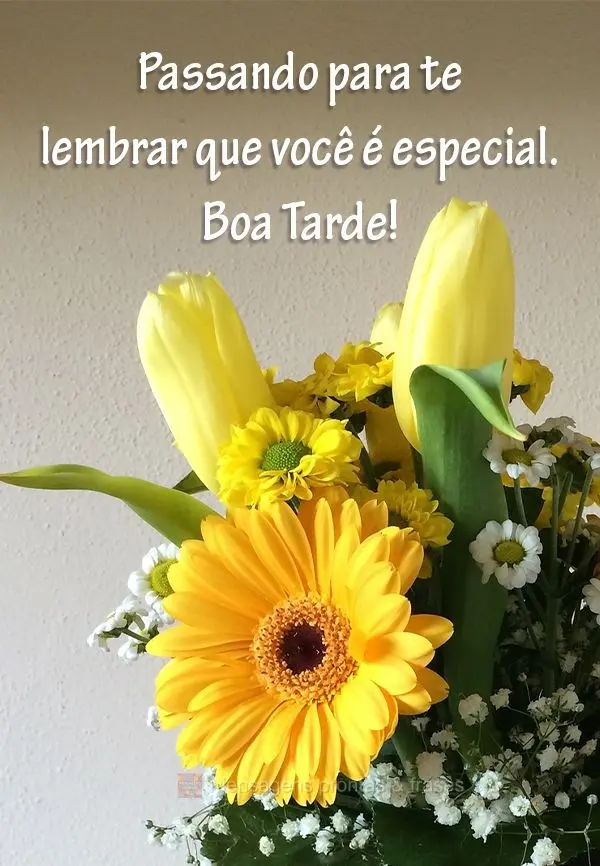 Passando para te lembrar que você é especial.  Boa Tarde!