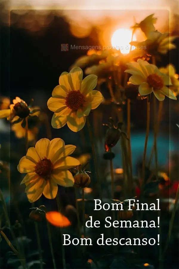 Bom Final de Semana! Bom descanso!