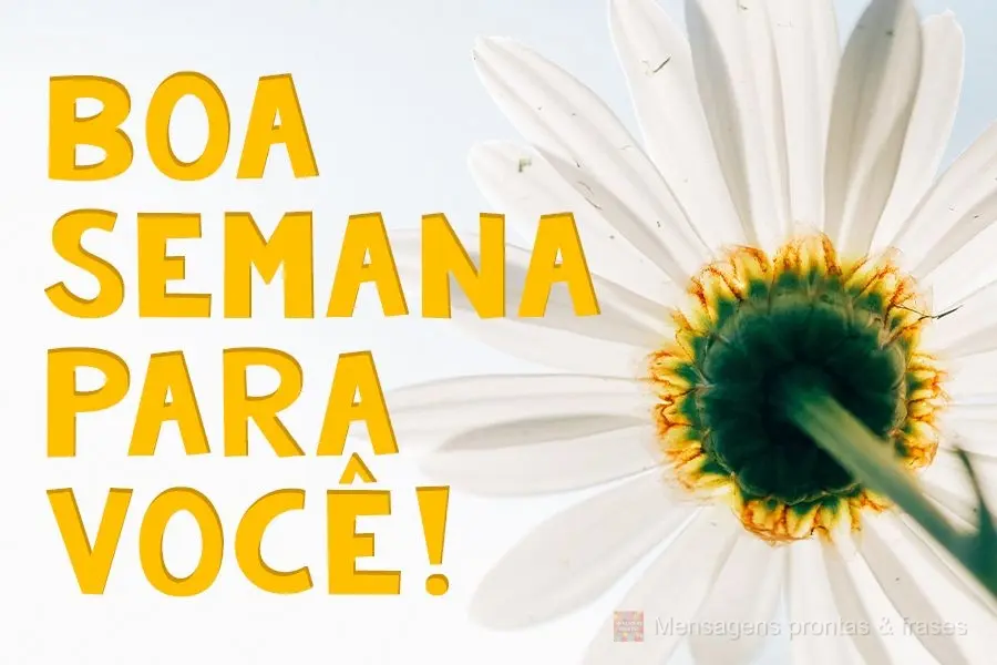 Boa semana  para você!