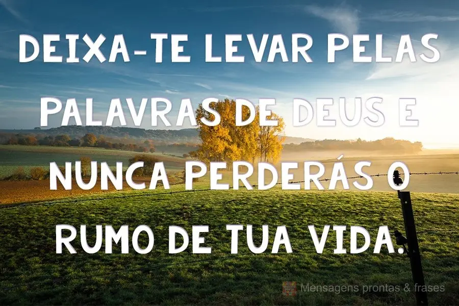 Deixa-te levar pelas palavras de Deus e nunca perderás o rumo de tua vida.