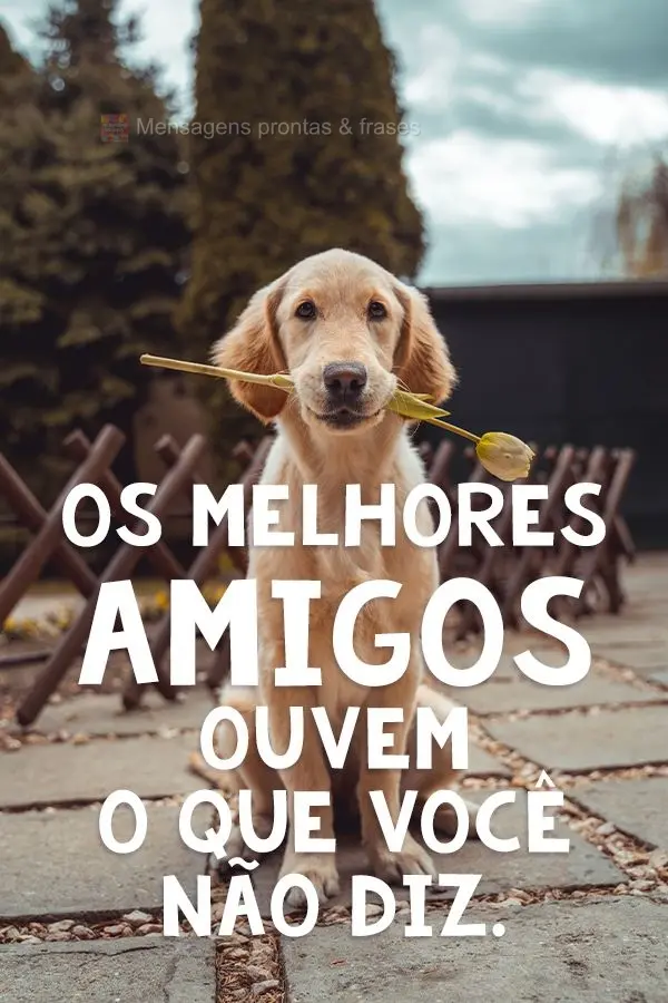 Os melhores amigos ouvem o que você não diz