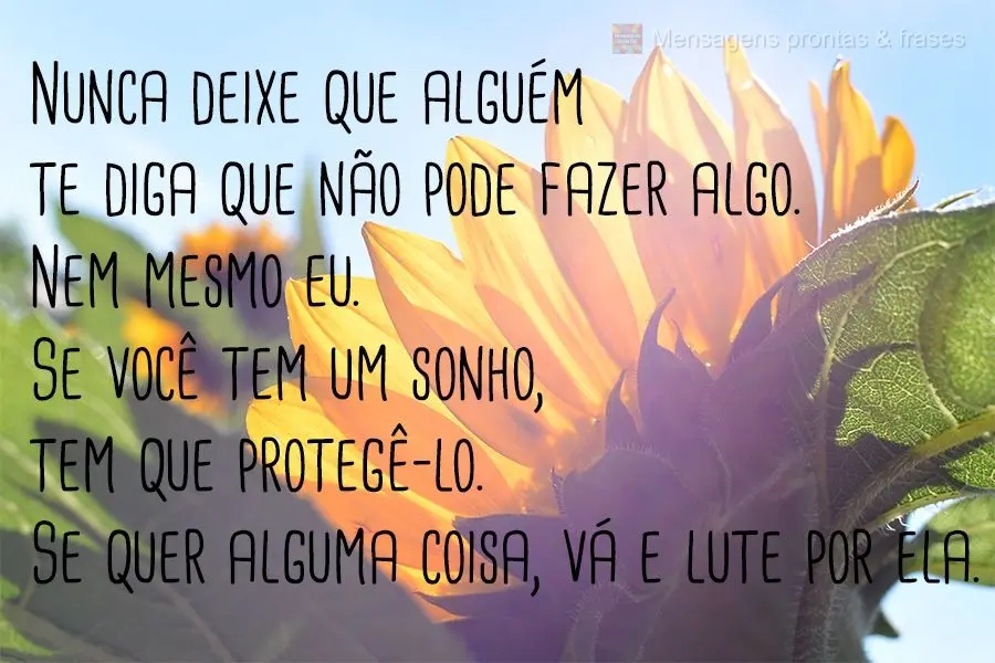 Nunca deixe que alguém te diga que não pode fazer algo. Nem mesmo eu. Se você tem um sonho, tem que protegê-lo. Se quer alguma coisa, vá e lute por ...