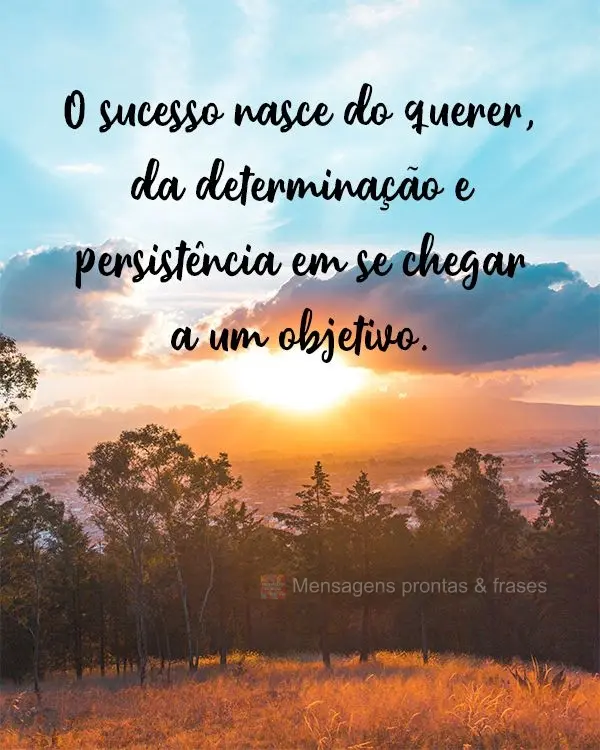 O sucesso nasce do querer, da determinação e persistência em se chegar a um objetivo. 