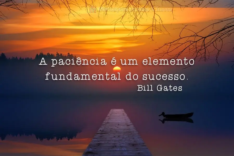 A paciência é um elemento fundamental do sucesso.  Bill Gates