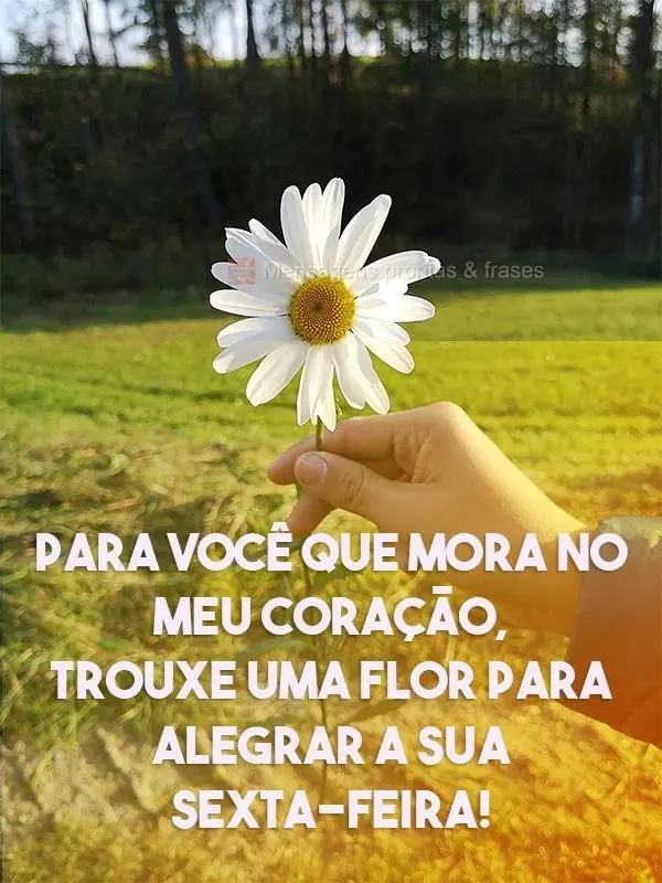 Para você que mora no meu coração, trouxe uma flor para alegrar a sua Sexta-feira!