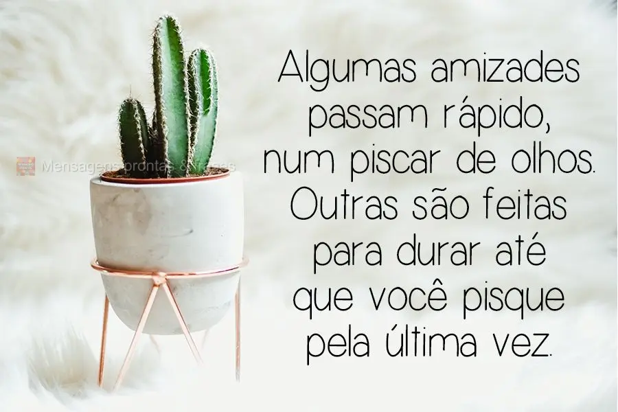 Algumas amizades passam rápido, num piscar de olhos. Outras são feitas para durar até que você pisque pela última vez.
