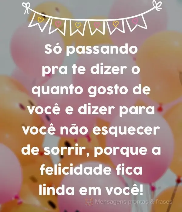 Só passando pra dizer o quanto gosto de você e dizer para você não esquecer de sorrir, porque a felicidade fica linda em você! 
