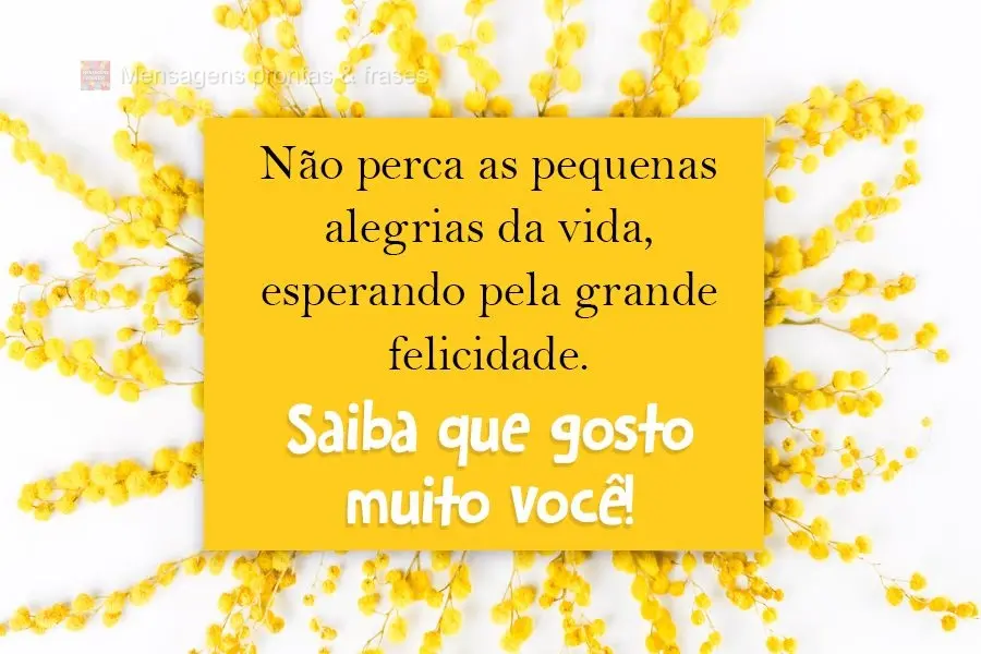 Não perca as pequenas alegrias da vida, esperando pela grande felicidade. 
 Saiba que gosto muito você!