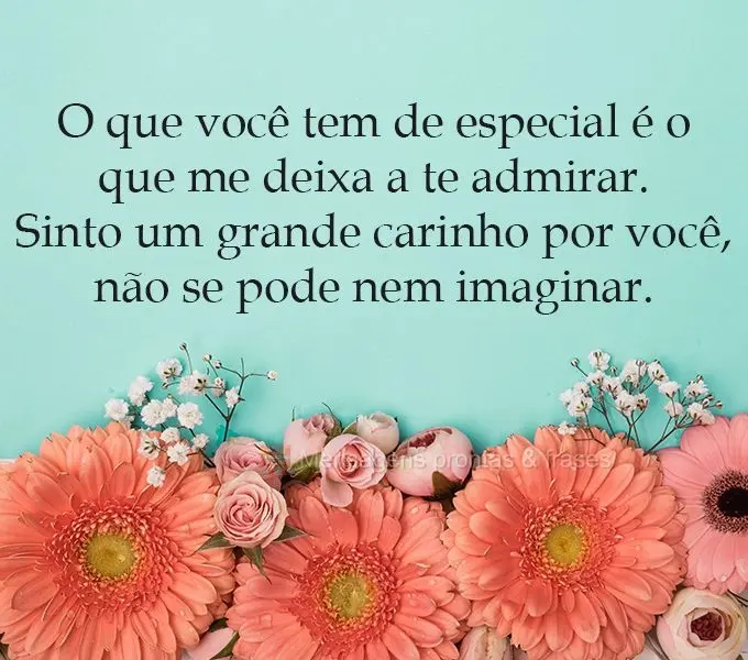 O que você tem de especial é o que me deixa te admirar. Sinto um grande carinho por você, não se pode nem imaginar.
