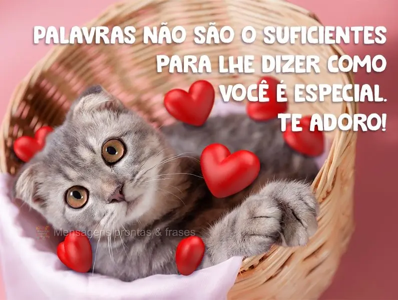 Palavras não são  suficientes para lhe dizer como você é especial. 
 Te adoro!