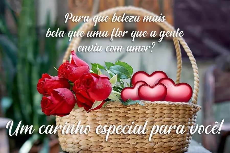 Para quê beleza mais bela que uma flor que a gente envia com amor? Um carinho especial para você!
