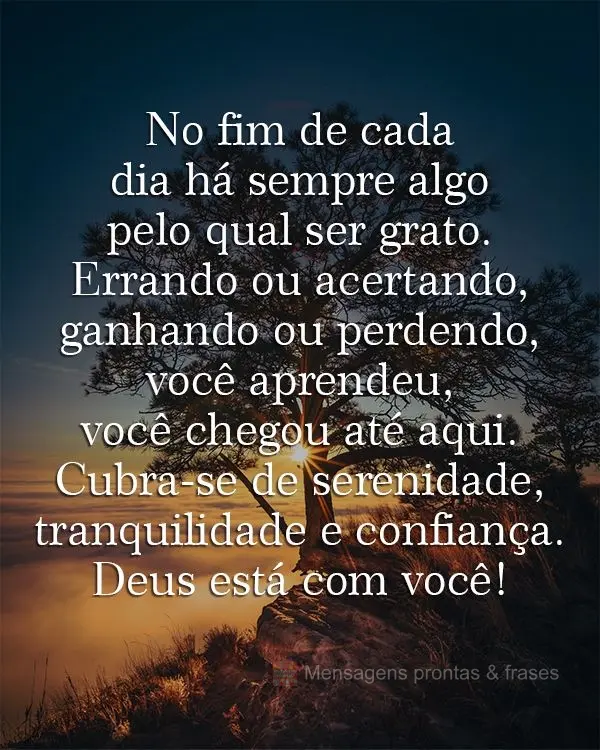 No fim de cada dia há sempre algo pelo qual ser grato. Errando ou acertando, ganhando ou perdendo, você aprendeu, você chegou até aqui. Cubra-se de s...