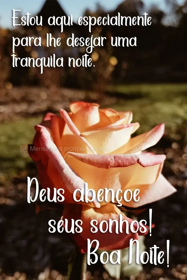 Estou aqui especialmente para lhe desejar uma tranquila noite. Deus abençoe seus sonhos! 
 Boa Noite!