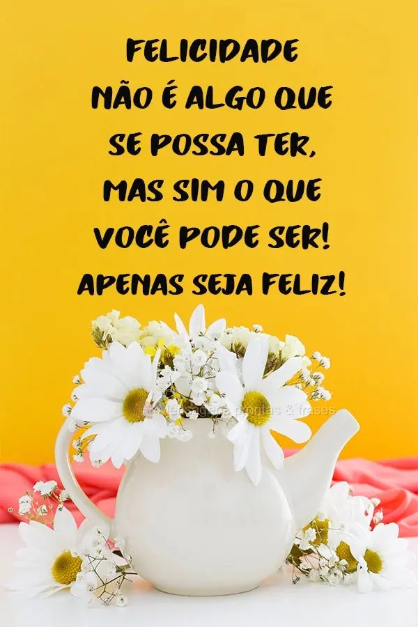 Felicidade não é algo que se possa ter, mas sim o que você pode ser! Apenas seja feliz!
