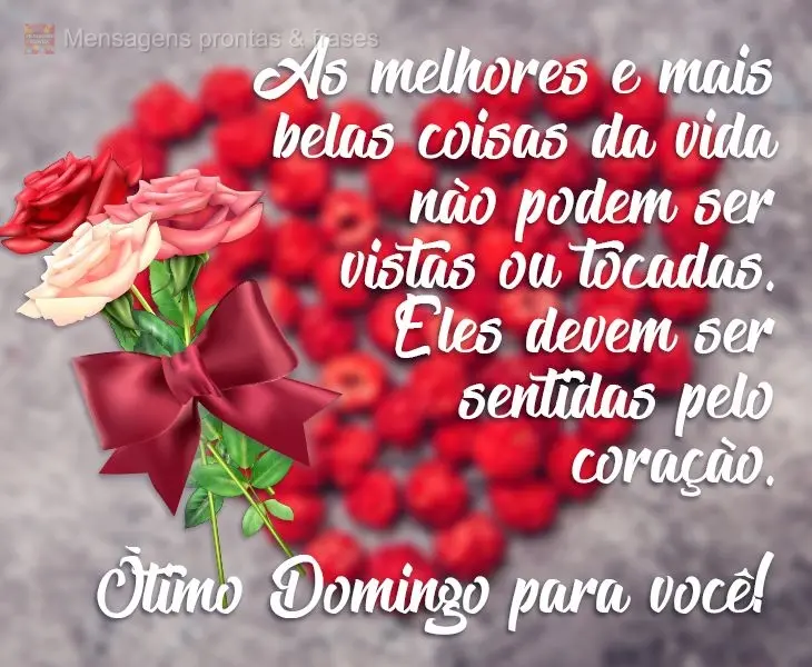 As melhores e mais belas coisas da vida não podem ser vistas ou tocadas. Elas devem ser sentidas pelo coração.  Ótimo Domingo para você!