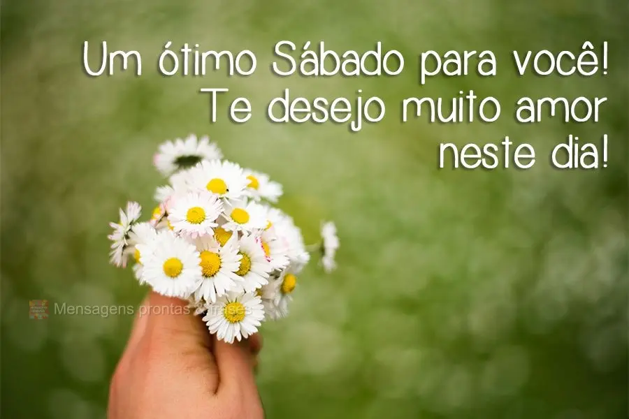 Um ótimo Sábado para você! Te desejo muito amor neste dia!
