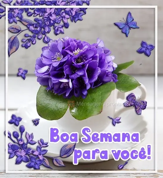 Boa semana para você!
