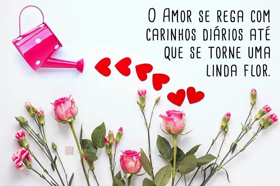 O Amor se rega com carinhos diários até que se torne uma linda flor.
