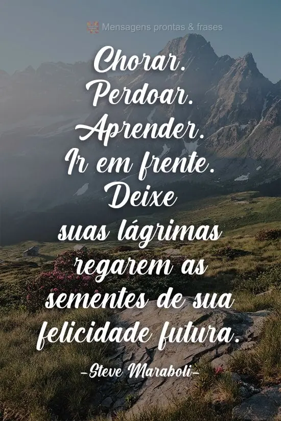 Chorar. Perdoar. Aprender. Ir em frente. Deixe suas lágrimas regarem as sementes de sua felicidade futura.  Steve Maraboli