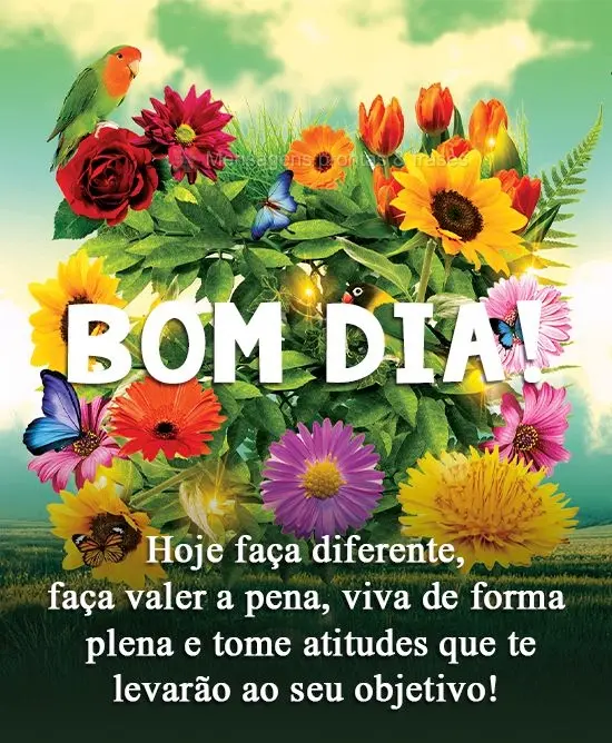 Hoje faça diferente, faça valer a pena, viva de forma plena e tome atitudes que te levarão ao seu objetivo!
 Bom dia!