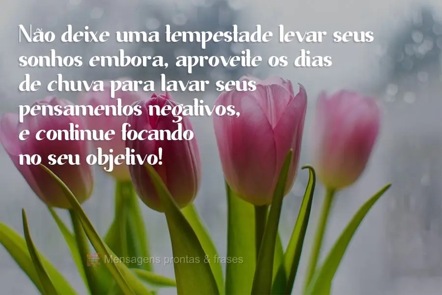 Não deixe uma tempestade levar seus sonhos embora, aproveite os dias de chuva para lavar seus pensamentos negativos, e continue focando no seu objetivo!...