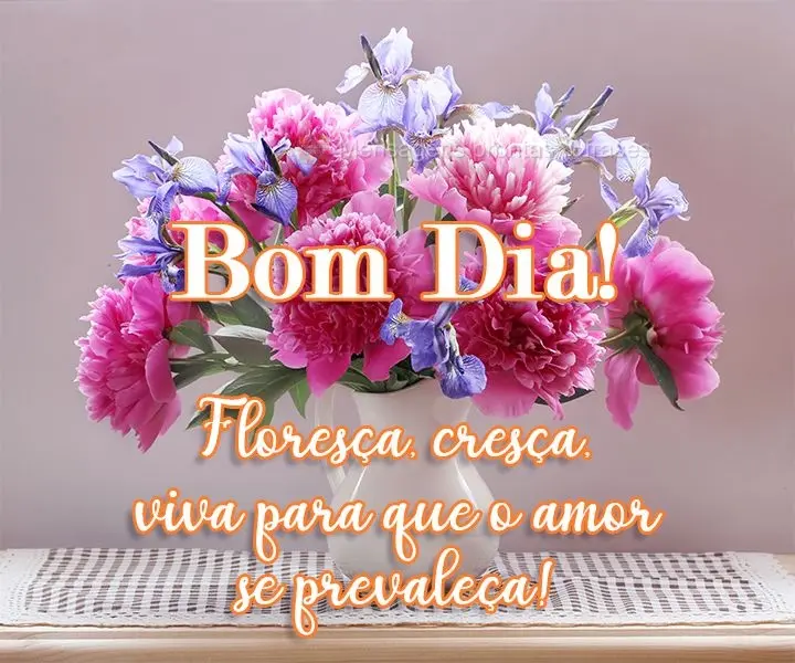 Floresça, cresça, viva para que o amor se prevaleça! 
 Bom dia! 