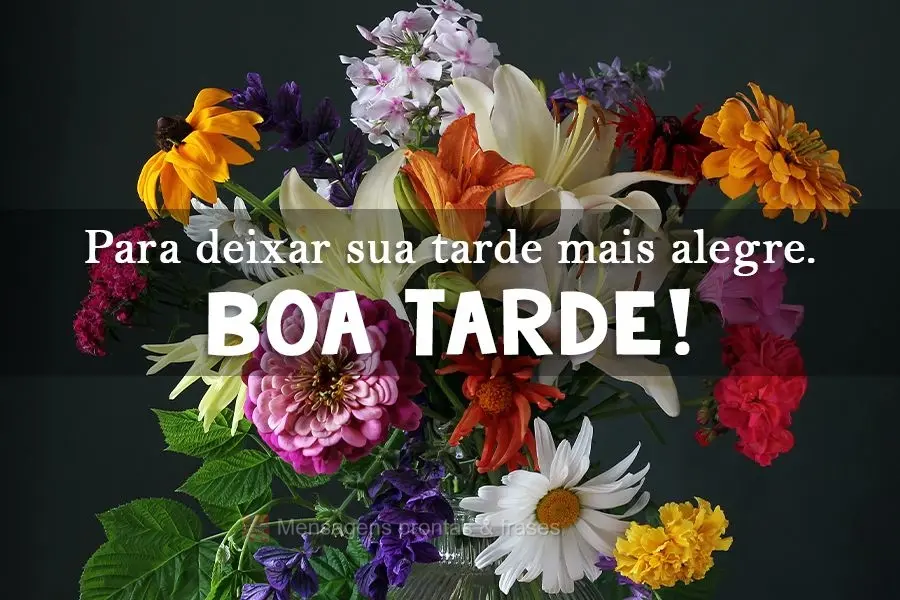 Para deixar sua tarde mais alegre.
 Boa Tarde! 