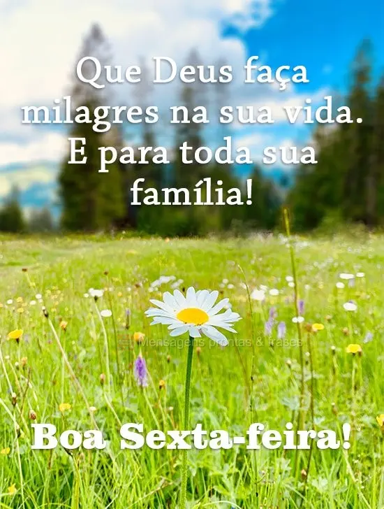 Que Deus faça milagres na sua vida. E para toda sua família!!
  Boa Sexta-feira