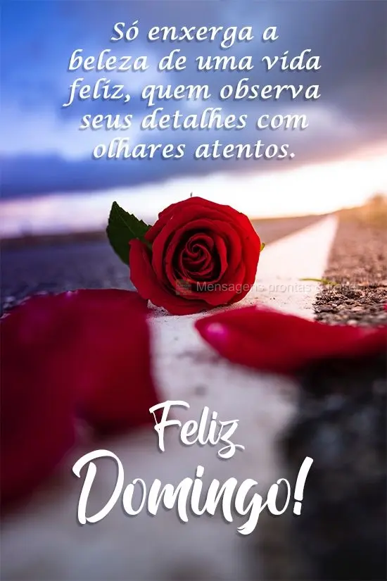 Só enxerga a beleza de uma vida feliz, quem observa seus detalhes com olhares atentos. 
 Feliz Domingo!