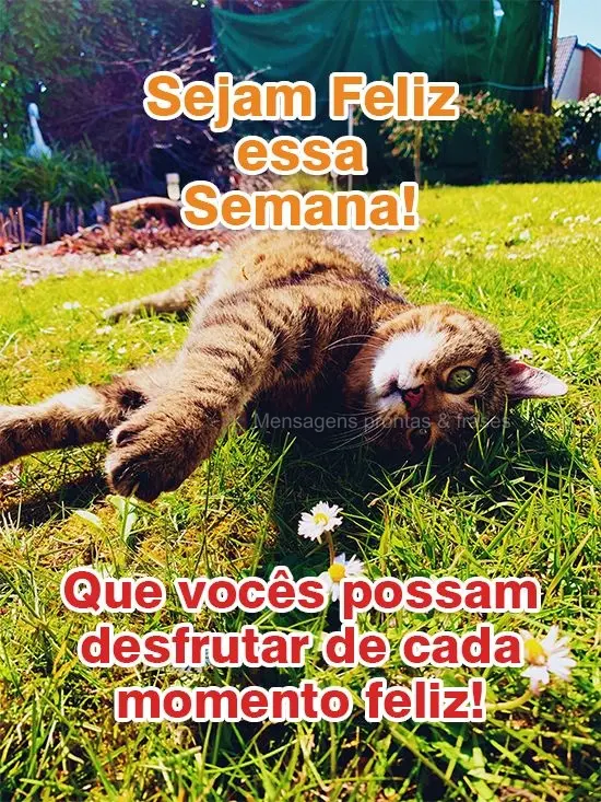 Sejam Felizes essa Semana! Que vocês possam desfrutar de cada momento feliz!
