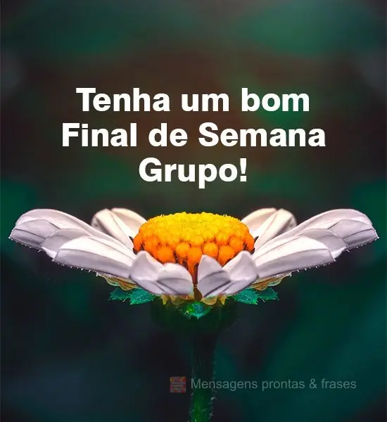 Tenha um bom Final de Semana Grupo! 
