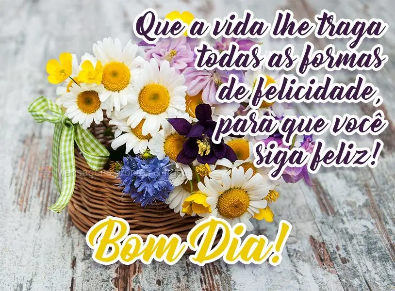 Que a vida lhe traga todas as formas de felicidade, para que você siga feliz! 
 Bom Dia!