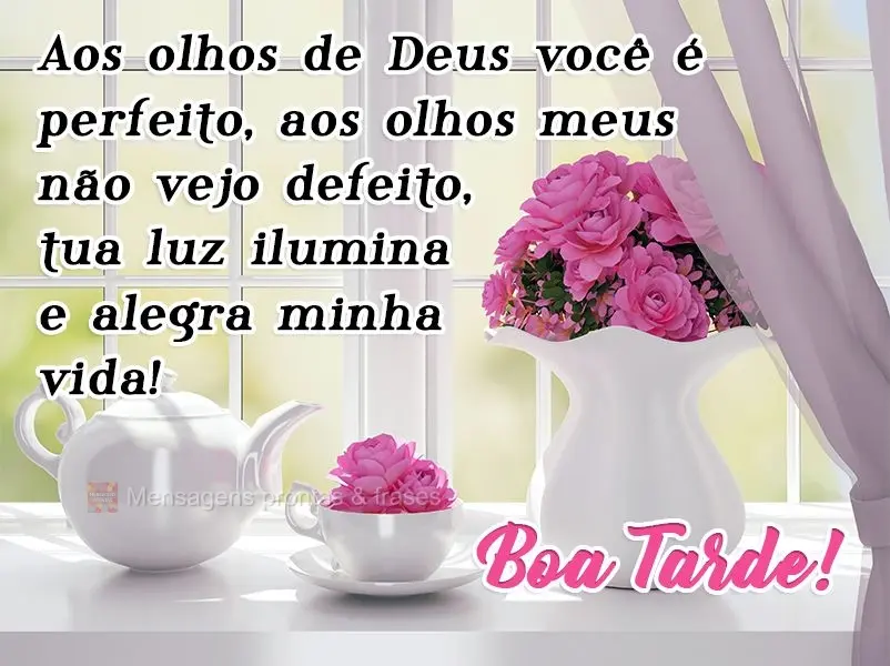 Aos olhos de Deus você é perfeito, aos olhos meus não vejo defeito, tua luz ilumina e alegra minha vida!  Boa Tarde!